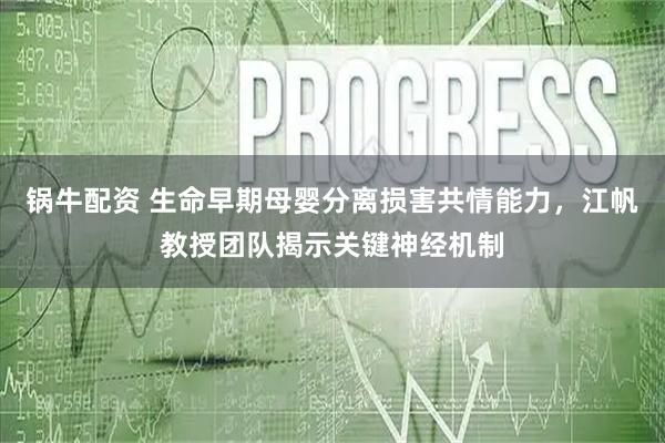 锅牛配资 生命早期母婴分离损害共情能力,江帆教授团队揭示关键神经机制
