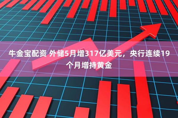 牛金宝配资 外储5月增317亿美元，央行连续19个月增持黄金