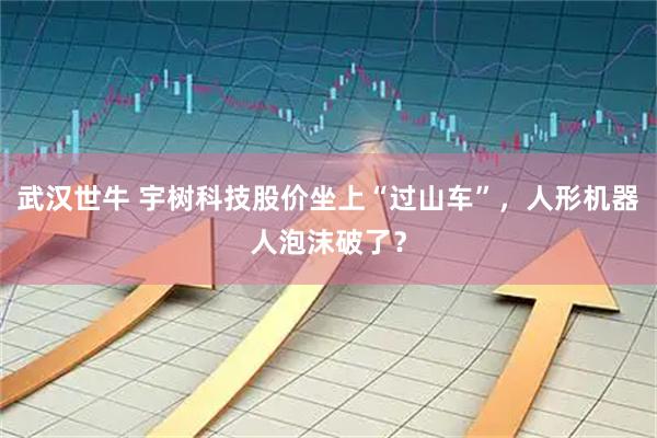 武汉世牛 宇树科技股价坐上“过山车”，人形机器人泡沫破了？
