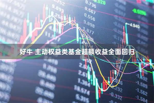 好牛 主动权益类基金超额收益全面回归